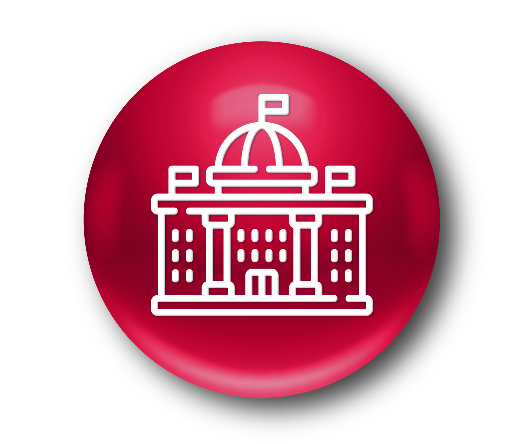 Government