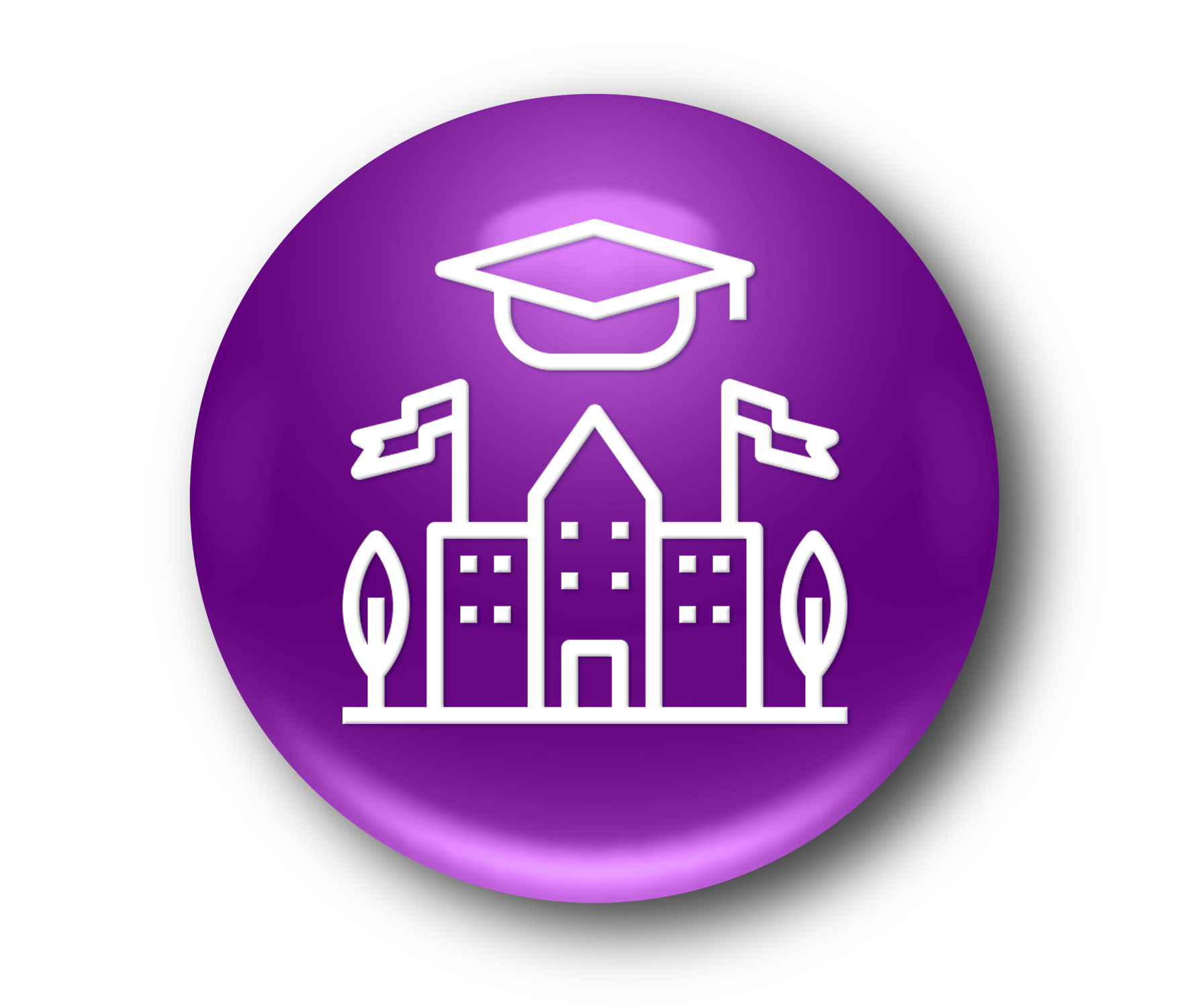 Curriculum